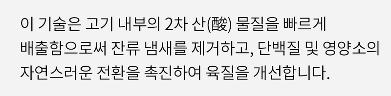 INKI 급속 식품 해동기 TM-INKI01 상세 11